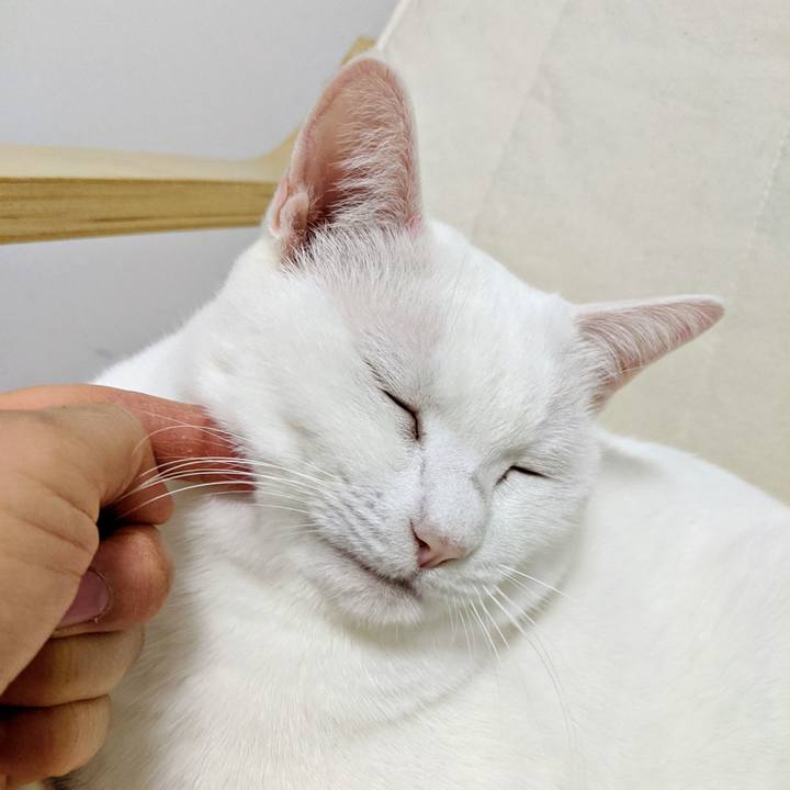 82a326d4 b9f7 4a87 9656 1b84538147d7 1582982420121