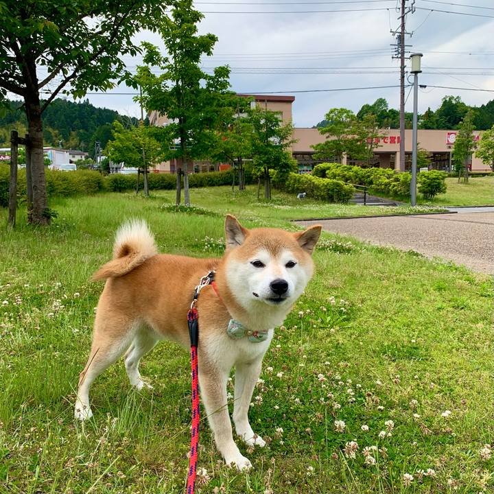 82a35e9c 0460 404a 9291 8b51ca042dcb 1653899374553