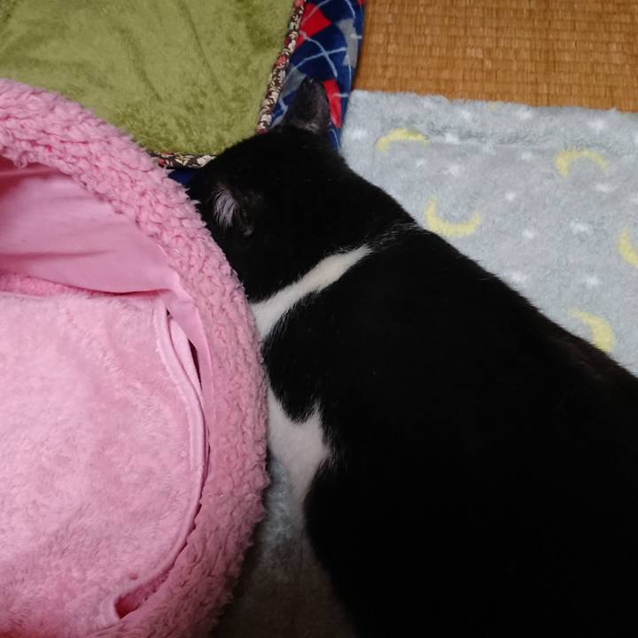 82a364c8 0e01 4b43 98e1 79a4579d420e 1540994739341