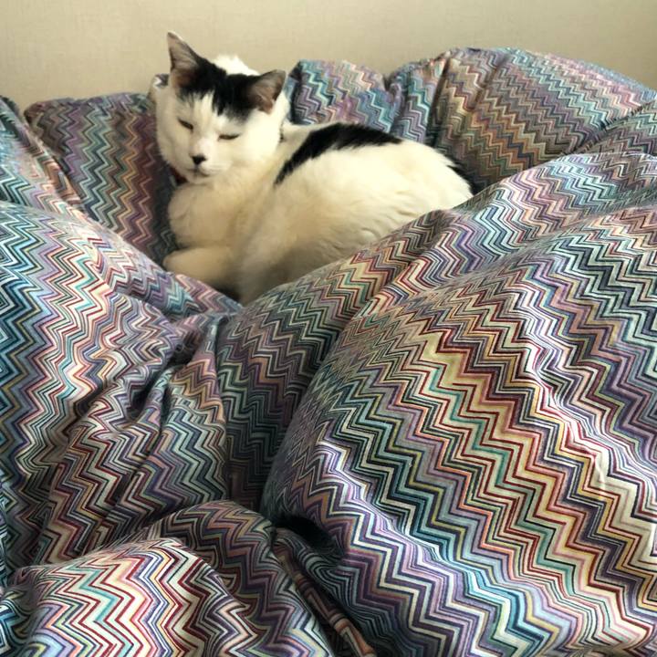 82a38dfb 847a 485e 8c4a 0176f4a8db04 1548199975295