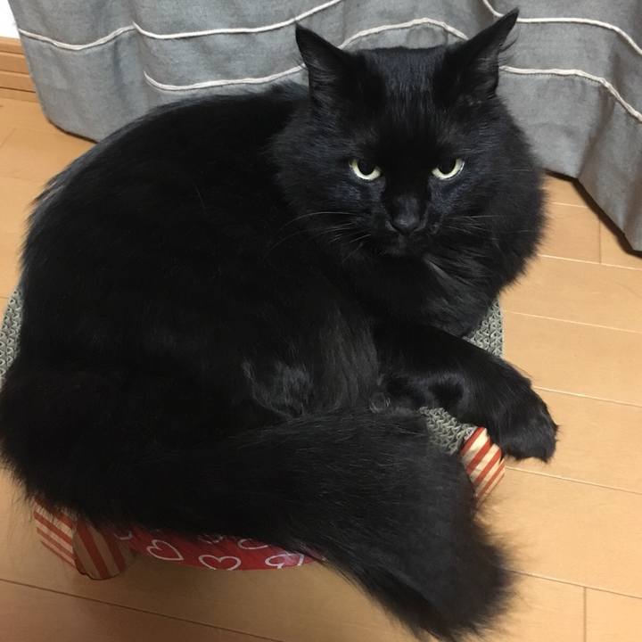 82a394c1 e2b8 419c 9870 5aaa6fde4c78 1528989838620