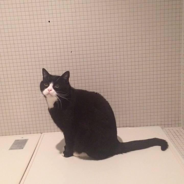 82a3a545 8f04 45e0 95a4 fb80d0c1ea08 1512257899032