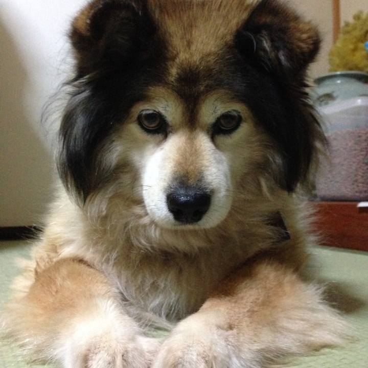 82a3bb8d b452 4f3c 994a ac709681666e 1603547588022