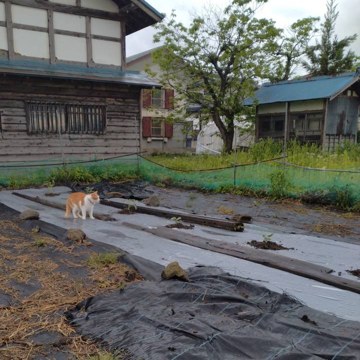 82a3bf27 dd6f 4c2c 902e 529ea189f03a 1747521691080