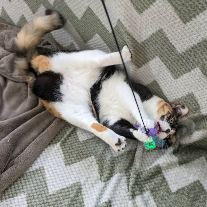 82a3d303 2d4c 4a5f aea9 475a2344e87e 1711943032378