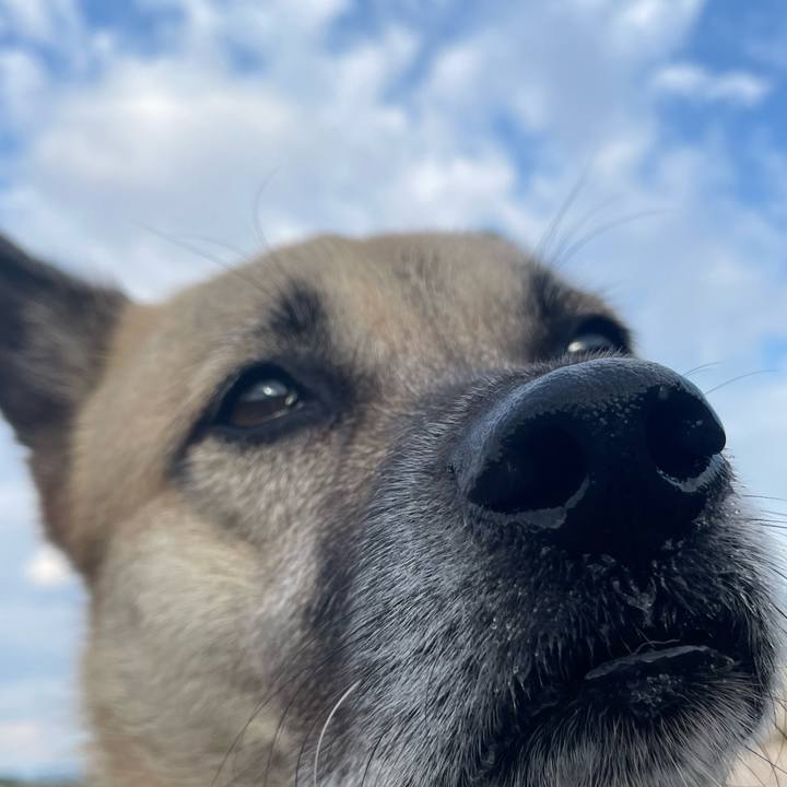 82a3d9ff c91e 42c7 be46 736cab721004 1666449809976