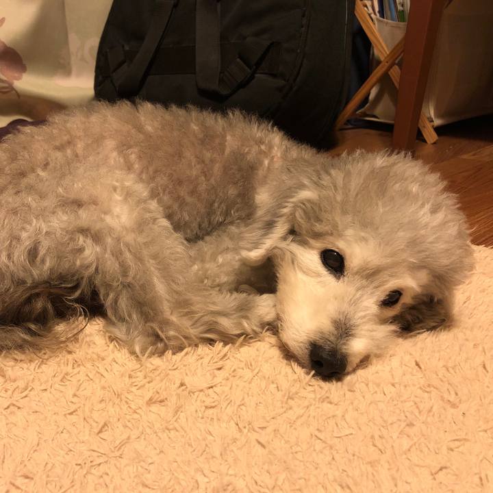 82a47fe0 77f0 4333 b74c c3ce2231e923 1585004349631