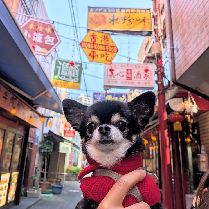 82a48f3e 983a 4419 b281 802c1457301f 1765108023594