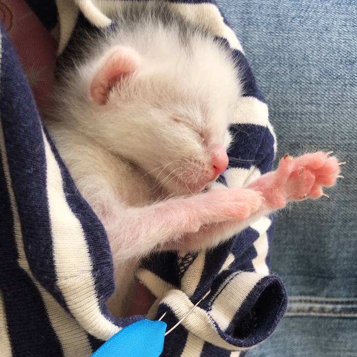 82a4e363 6ef5 4c9d b5dc 5481e71cec15 1589677806581