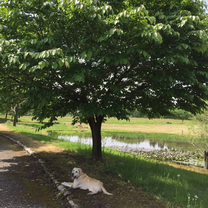 82a4f2c2 32d5 4533 af33 127b4b499af3 1526353540369