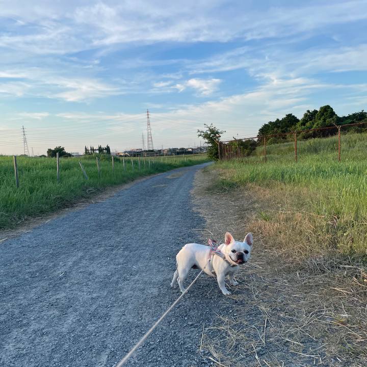 82a52534 dc77 421e 88b3 ededfbb1c0c4 1753917211017