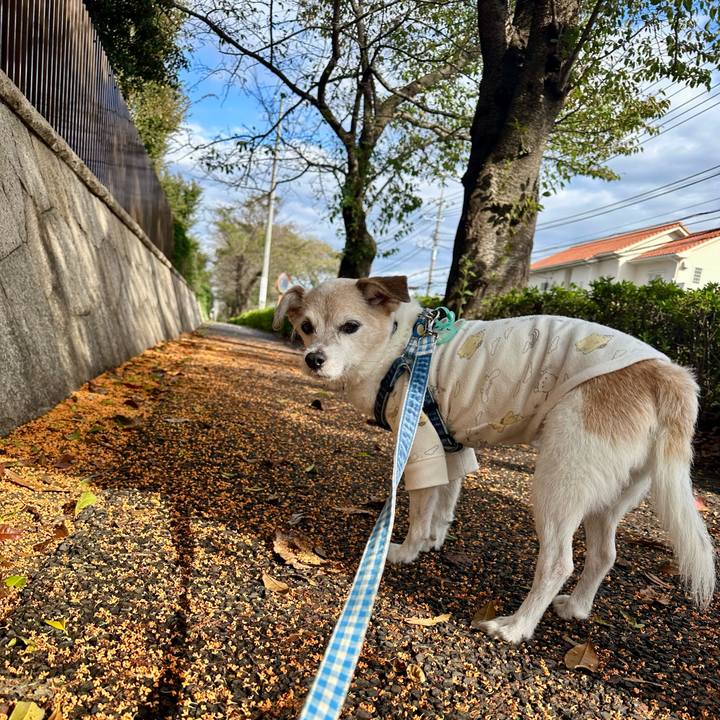 82a54c1b 8a18 468b 890d 9ff897467104 1761550814839