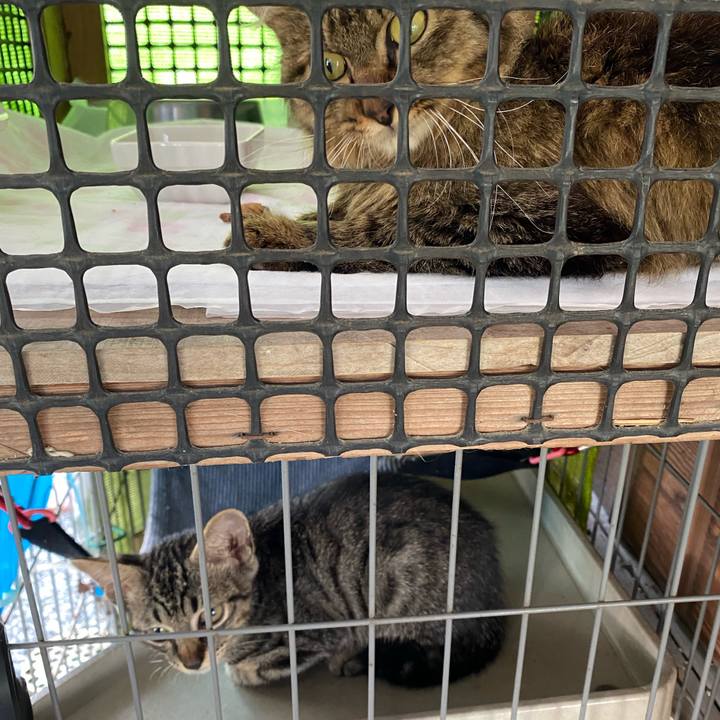 82a55612 72a7 45b9 ac91 72ead6057f22 1658535091866