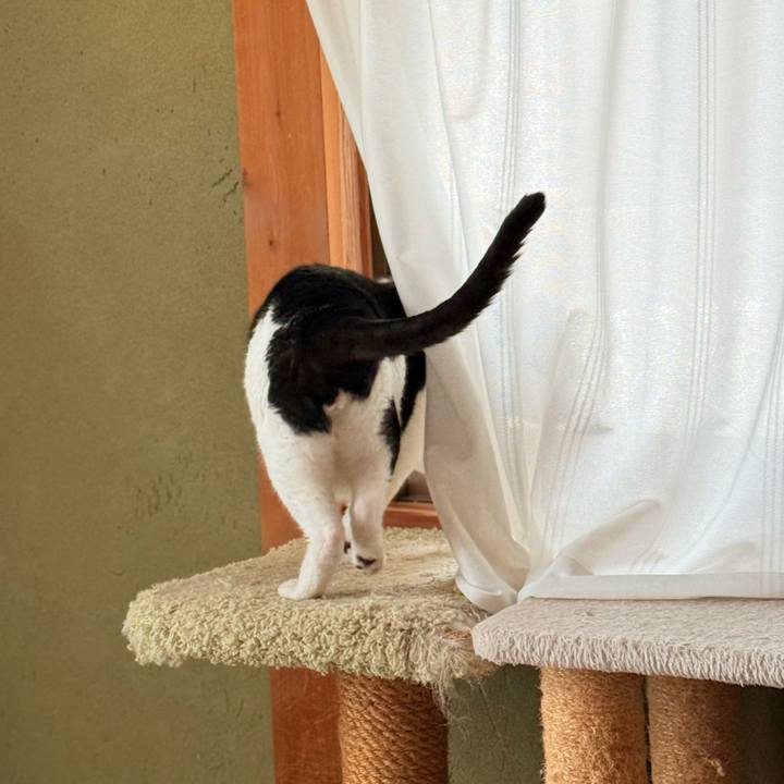 82a55db8 eec3 48f4 9970 2a440c80ebfa 1733105933775