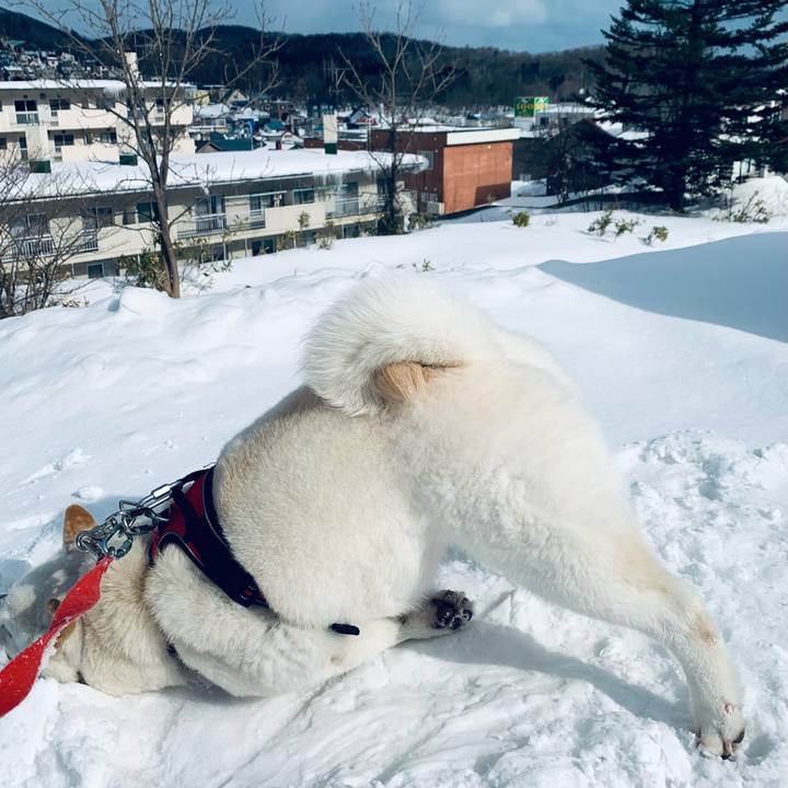 82a567ea 0b46 4bf8 b1ac 7b98e27e15cb 1613977544529