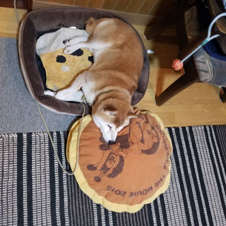 82a59b5c 1da6 4a01 966c 2658e6fc6a97 1634718056122