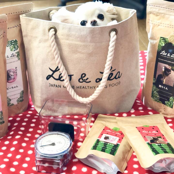 82a5ca9e 829f 464e a510 5481dc331f7f 1533973694271