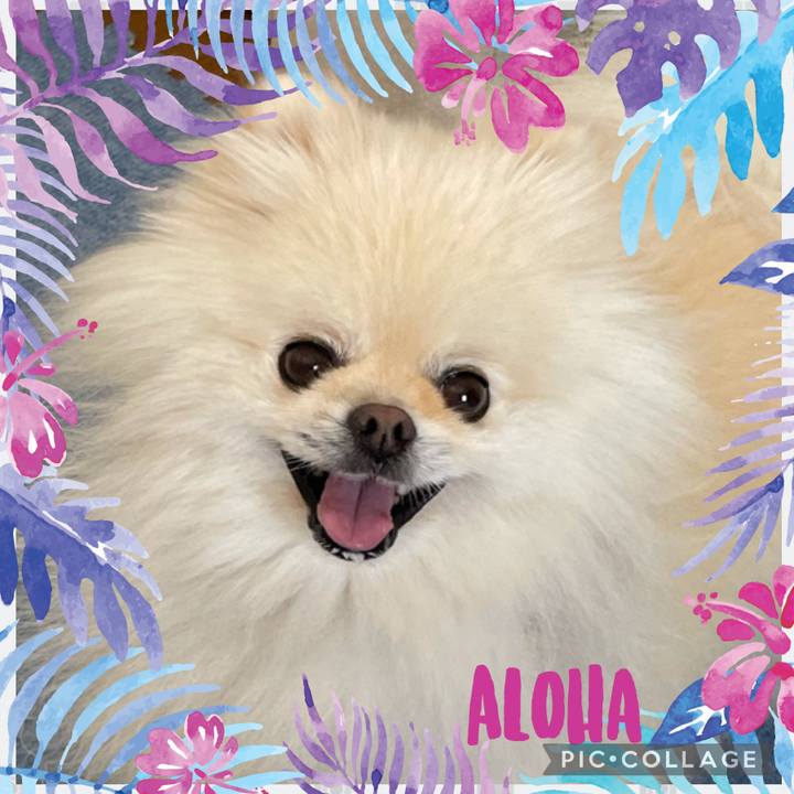 82a5f04b 6026 4847 a52d 0e38dc031a35 1627608210450