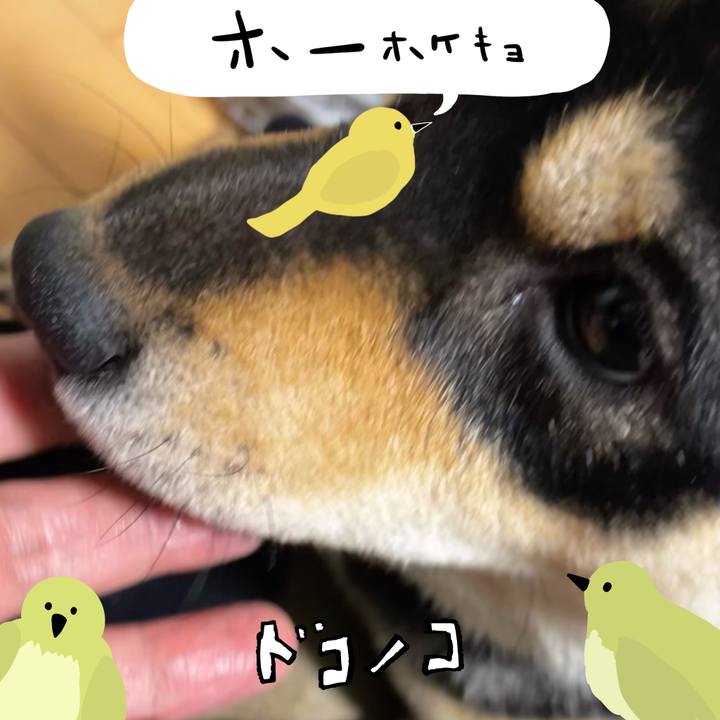 82a601b5 5876 4fa8 a541 0c91142d248e 1711375322377