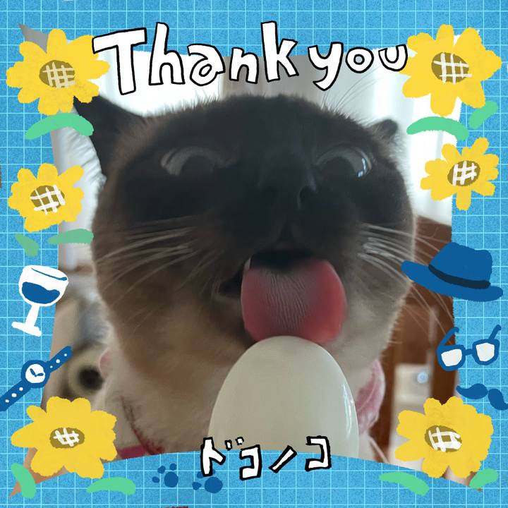 82a61271 0418 409c a2e5 1ab756909a8c 1717708567606