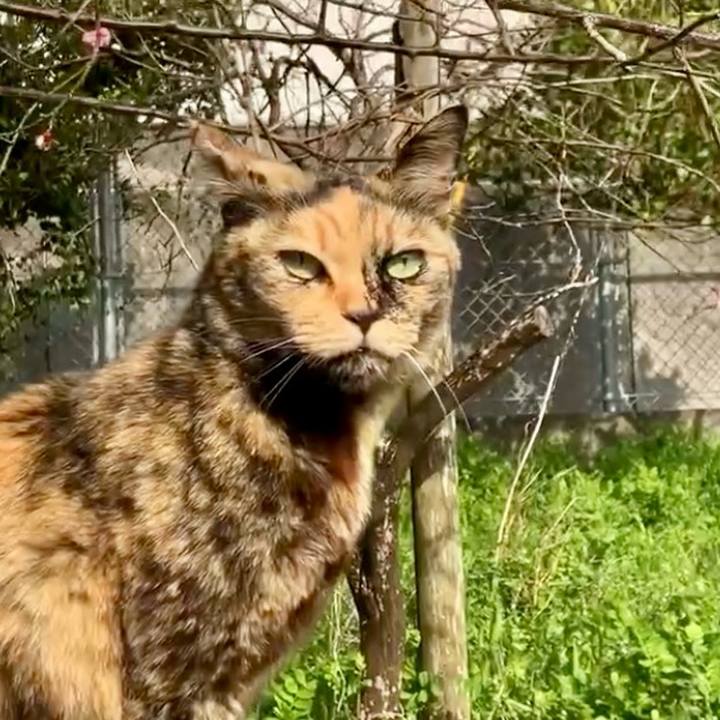 82a62221 37b5 4178 8588 ba76fdbc0116 1742871779053