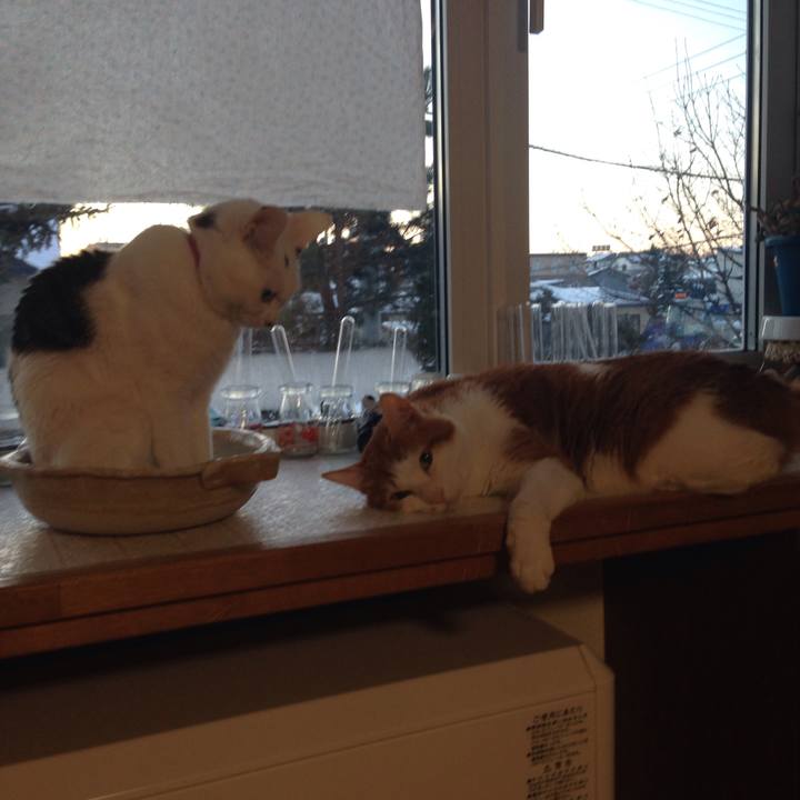 82a633ef d2fc 410b 82c1 d6489c049554 1512769799235