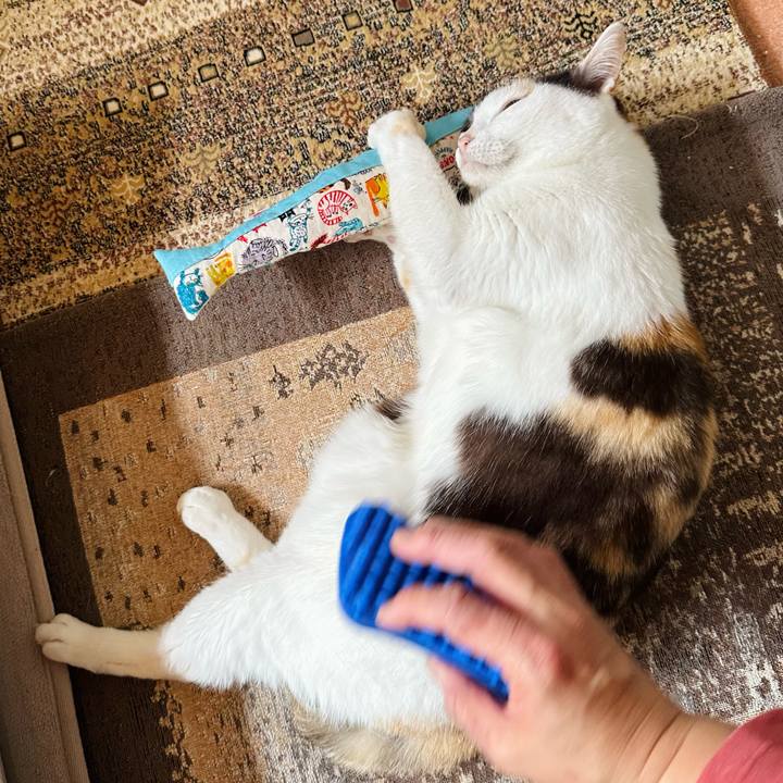 82a64c84 7b72 4a07 abd0 f4c936aa5ed8 1685065763220