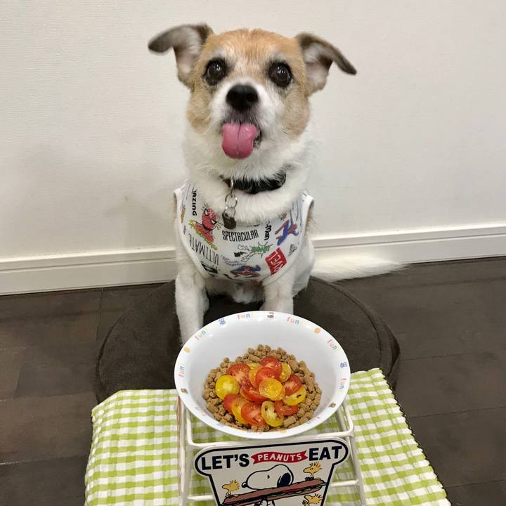 82a6690c c03c 4486 a6e1 b88293a0741e 1602318606885