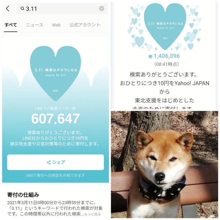 82a70309 62ad 46a3 9033 270826a300ea 1615421820731