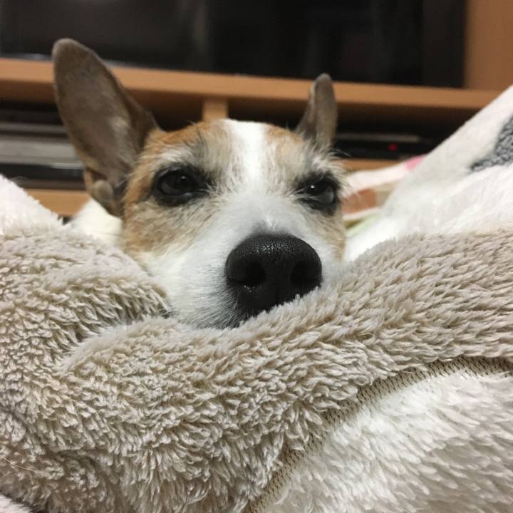 82a71cad 4acd 4fe9 8262 489e6f62880b 1616973594898