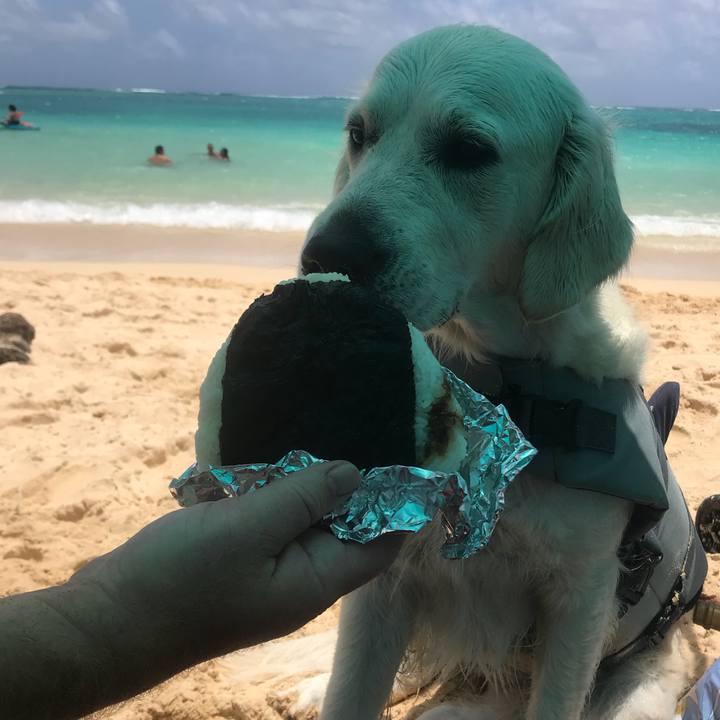 82a7868d 34e1 4bf5 a5e8 9148e2caeef3 1533958106603