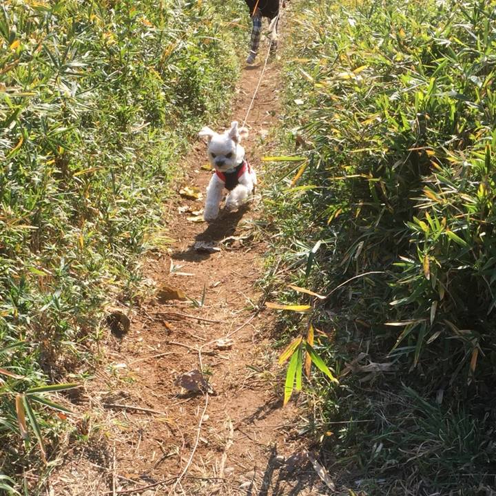 82a7911b 777b 408a 828a 84dc5b4d9b40 1512286112349