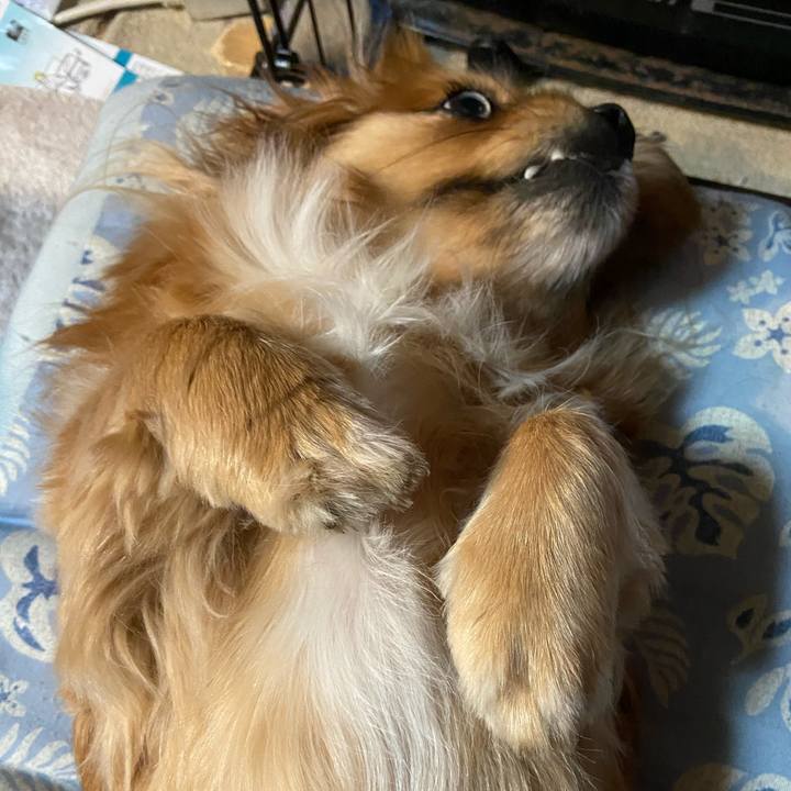 82a79680 03ce 4108 9acf a56fe3142aee 1611266465450