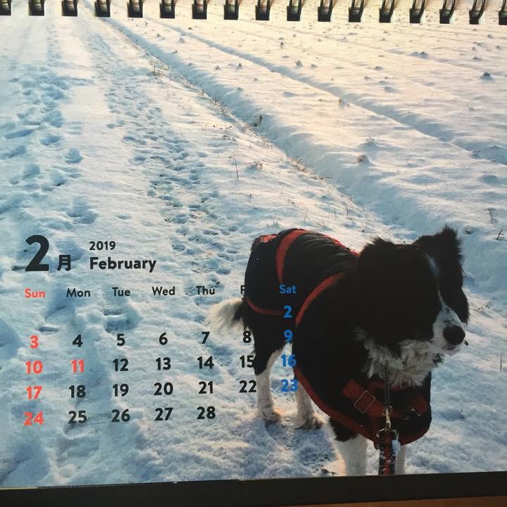 82a7add1 3a5c 4163 8939 7171e44979d6 1548979619522