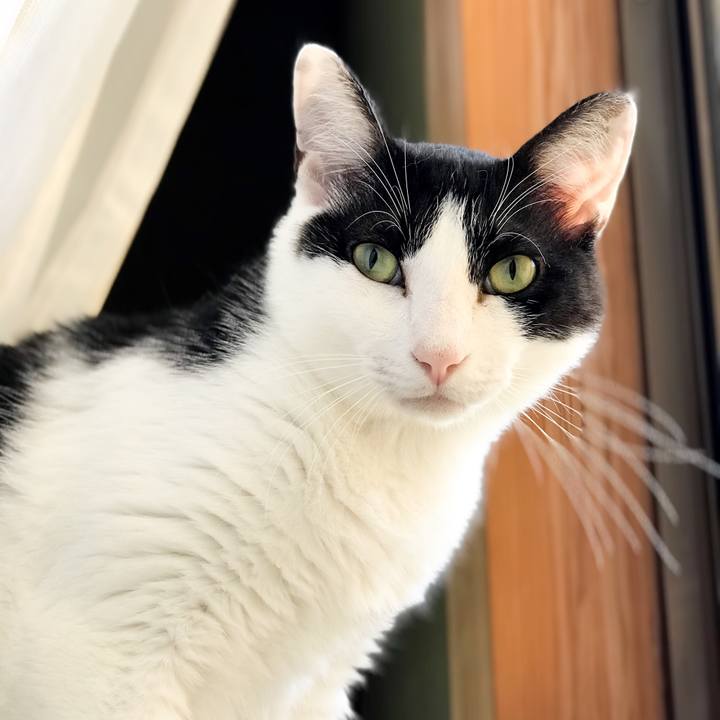 82a7b99a f641 4721 92ce aedfd3030c8f 1531966151045