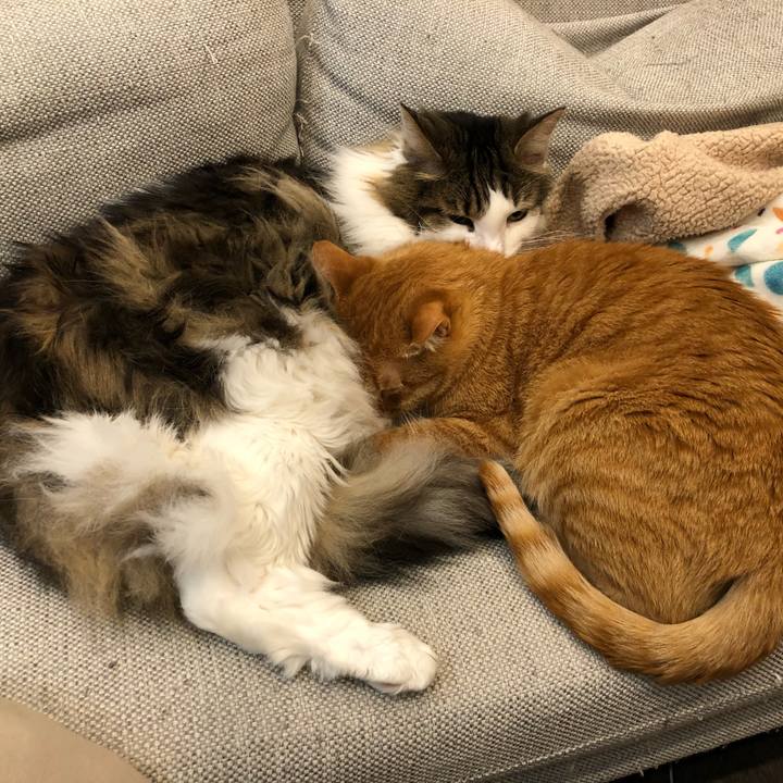 82a7f80c 4009 4471 9af0 c23b32032314 1654858588970