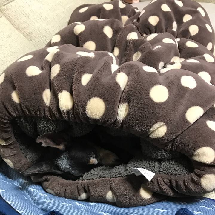 82a811ef c944 4caa 8439 0243f9d97a2e 1518531182217