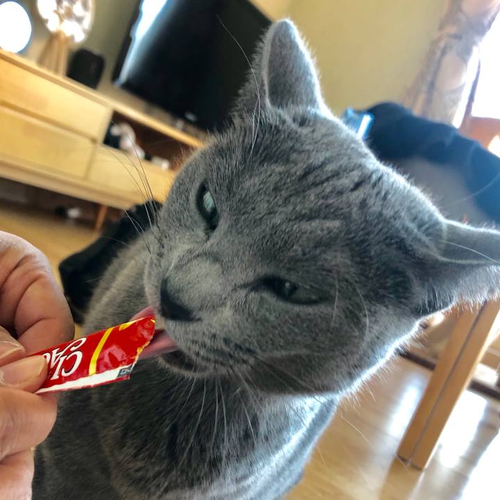 82a89d88 4c71 4eed 96af 24dffbdd1a28 1576378534171