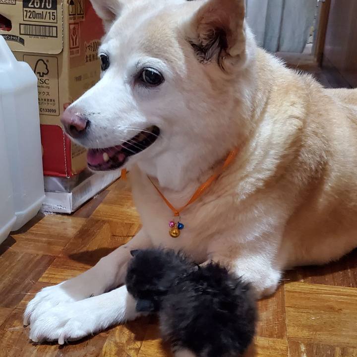 82a8ae36 56cf 4cd0 b693 57b85eb839ef 1623217444707