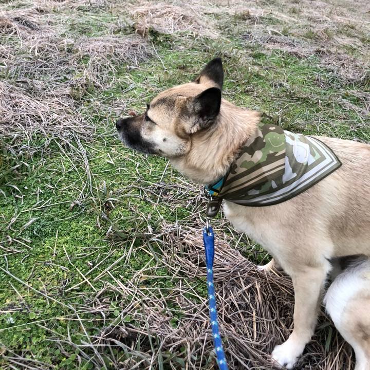 82a8bb14 5868 4264 a5c0 f3f374cb4159 1579521269447