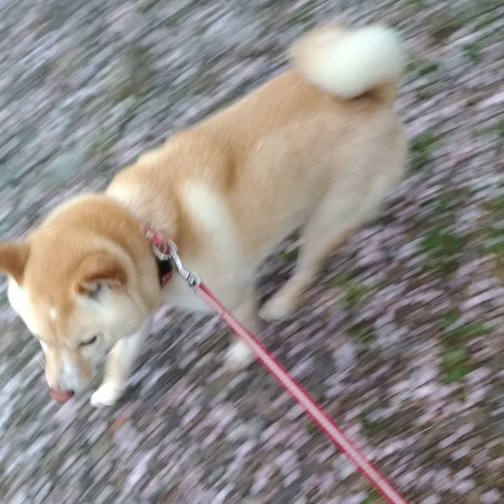 82a92b16 61ce 49b7 a6c6 0785980b0a7d 1553172198530