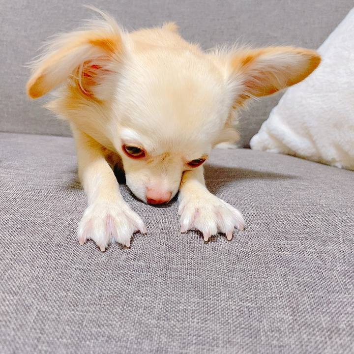 82a94af7 7250 4c61 b066 8f5c301b401b 1634637516037