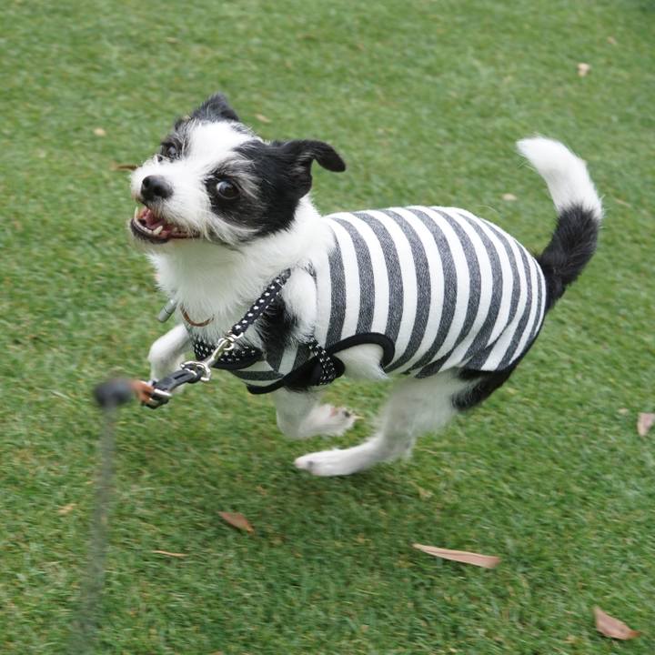 82a94e67 668d 4564 bc5c f21323d8c4b1 1625060036754