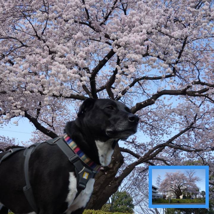 82a98f6c 0bd4 4d1c 89ff 5e7e0711b4ef 1648601239856