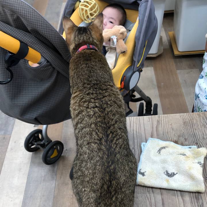 82a99d27 99f8 4bf1 8f8d a0dbae98adfc 1666612296377