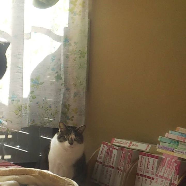 82aa0bd8 60e7 4af1 87e7 0c89a54c61aa 1608178572234