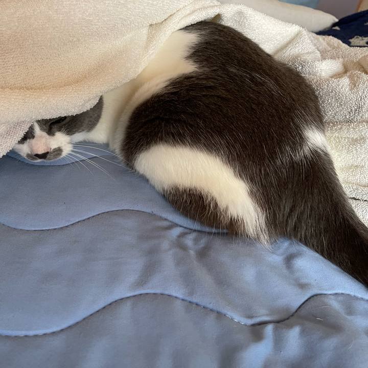 82aa85fa 4a93 4196 93f0 80c17711cf75 1660516404329