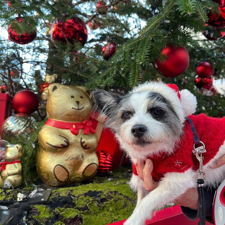 82aa9a3a ce38 4d4a a0d3 1f8f4734982c 1735130501047