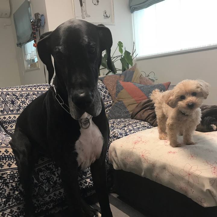 82aaa6ef 4f62 46cb a98b e317efe47853 1519167401262