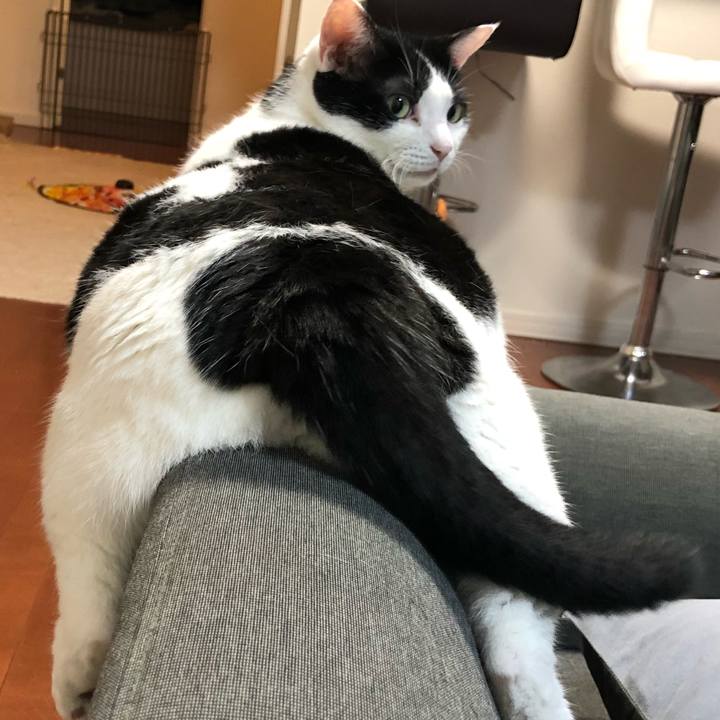 82aab4b5 048d 4fda b16a 7f81a884ac05 1541776663783